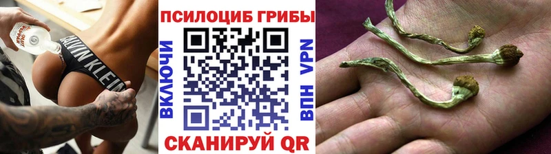 Галлюциногенные грибы прущие грибы  Тотьма 
